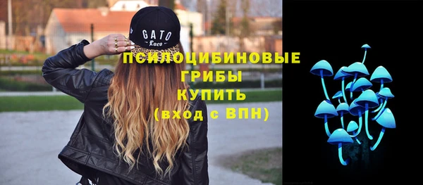 бошки Верхний Тагил