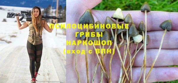 мяу мяу мука Верея