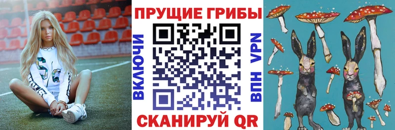 сколько стоит  Кизляр  Псилоцибиновые грибы мухоморы 